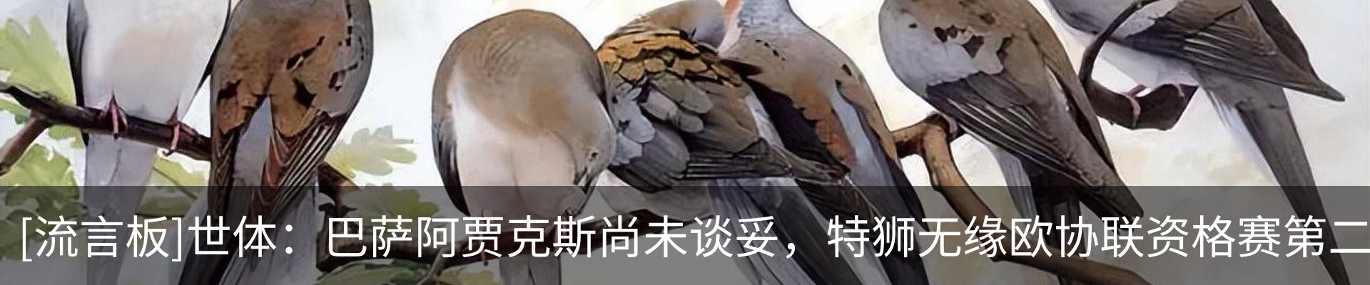 新闻中心